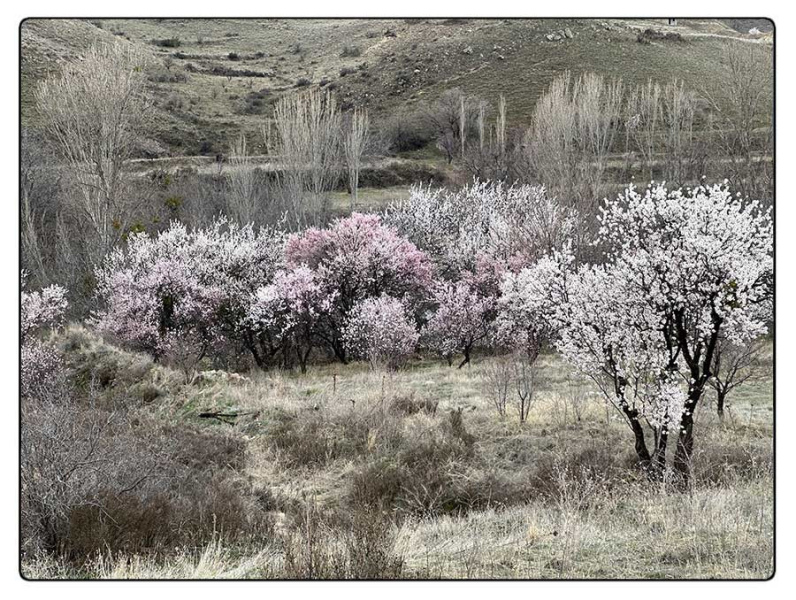 © Vittoria Amati | Primavera in Cappadocia