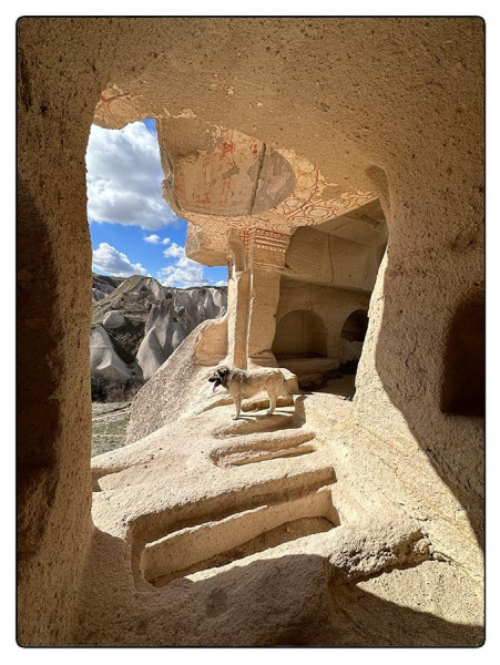 © Vittoria Amati | Milo tra le rovine della chiesa bizantina Balkan Daresi Churches | Orthaisar, Cappadocia